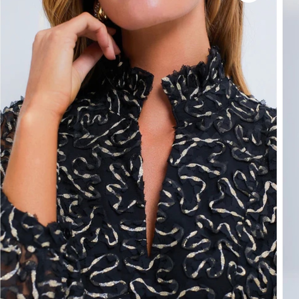 TUCKERNUCK
Nightly Organza Palmerston Dress RT $198 gold black holiday SMALL - Picture 4 of 12